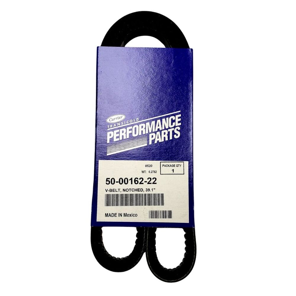 V-BELT, NOTCHED, 39.1"